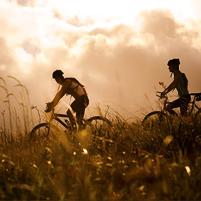 People mountain biking at sunset.